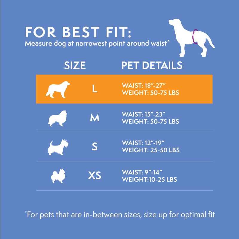 Simple Solution Disposable Dog Diapers Wraps for Male Dogs, True Fit, Absorbent, Leak Proof with Wetness Indicator, Puppy and Doggie Diaper for Peeing, For Large Pets, 18-27 Inch Waist, 12 Count - Image 4